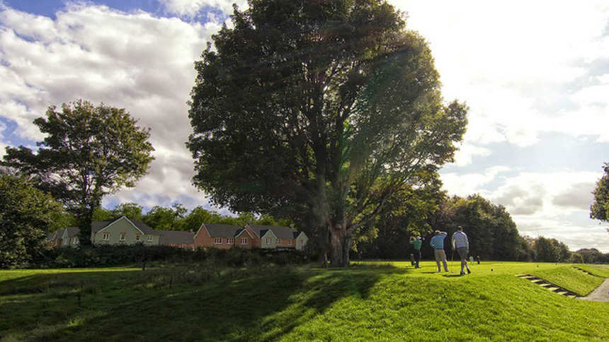 Longwood Copse