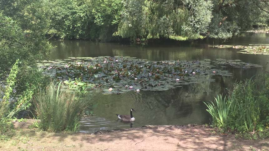 Glan Llyn (St Mowden Homes)