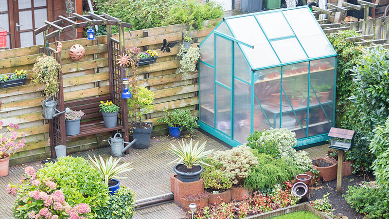 Greenhouse