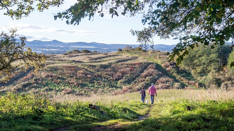 Cammo Meadows (David Wilson Homes)