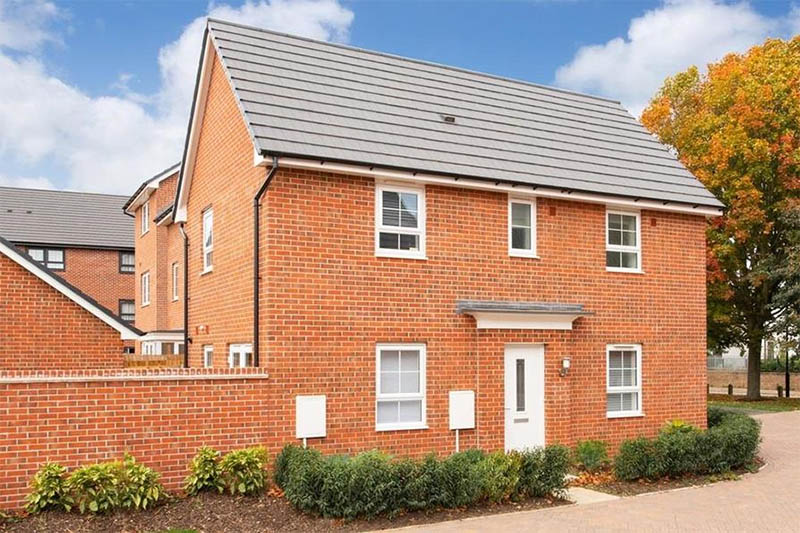 Plot 313