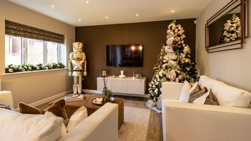 Willow Fields (Castle Green Homes)
