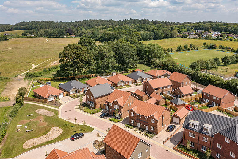 Potters Wood