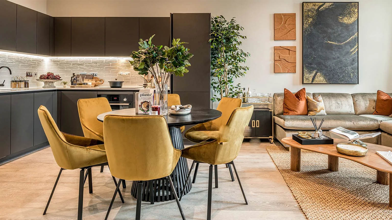 Berkeley show apartment