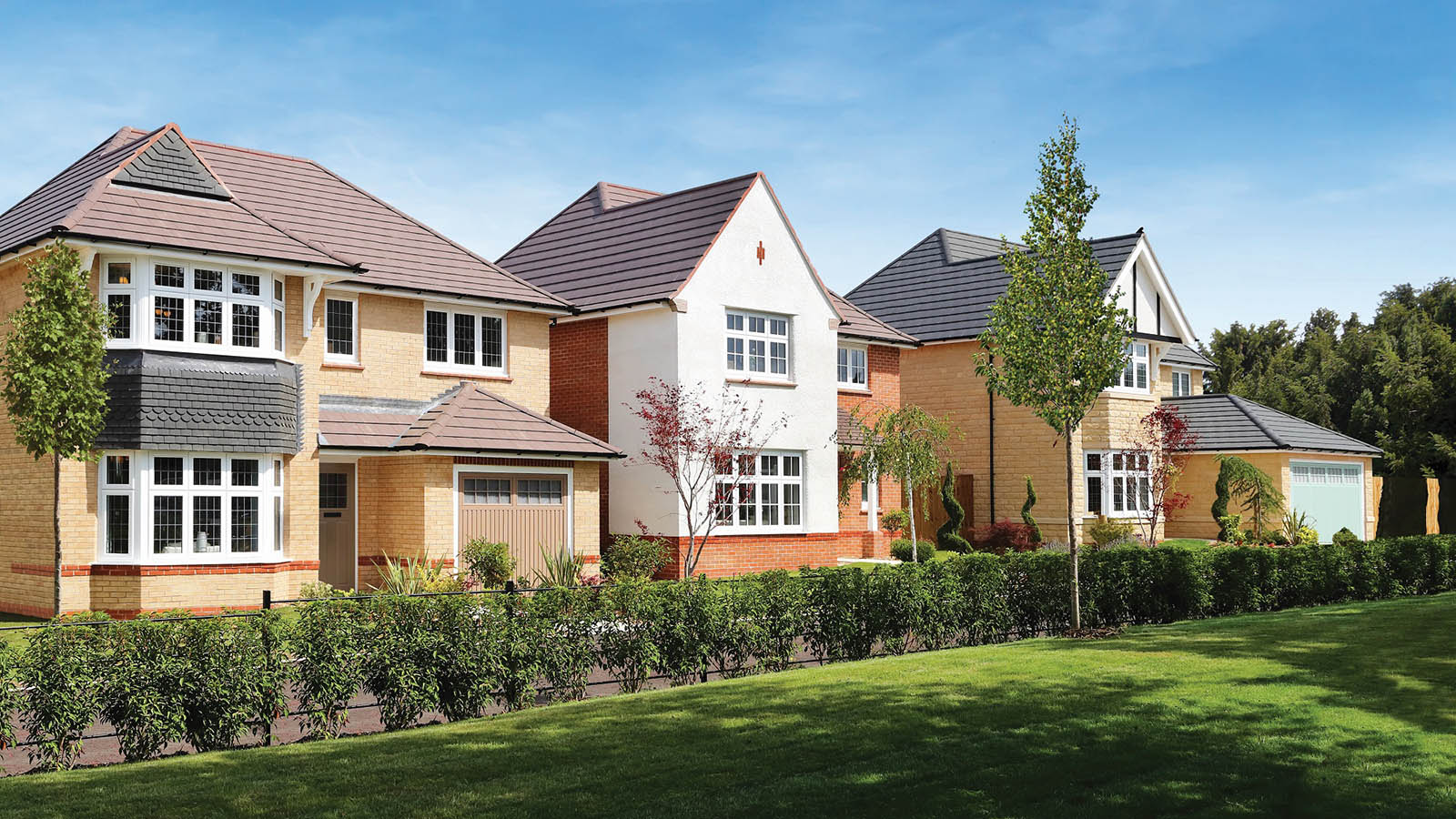Vale Croft Woods from Redrow